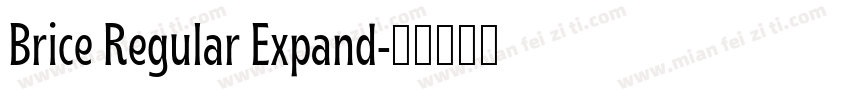 Brice Regular Expand字体转换